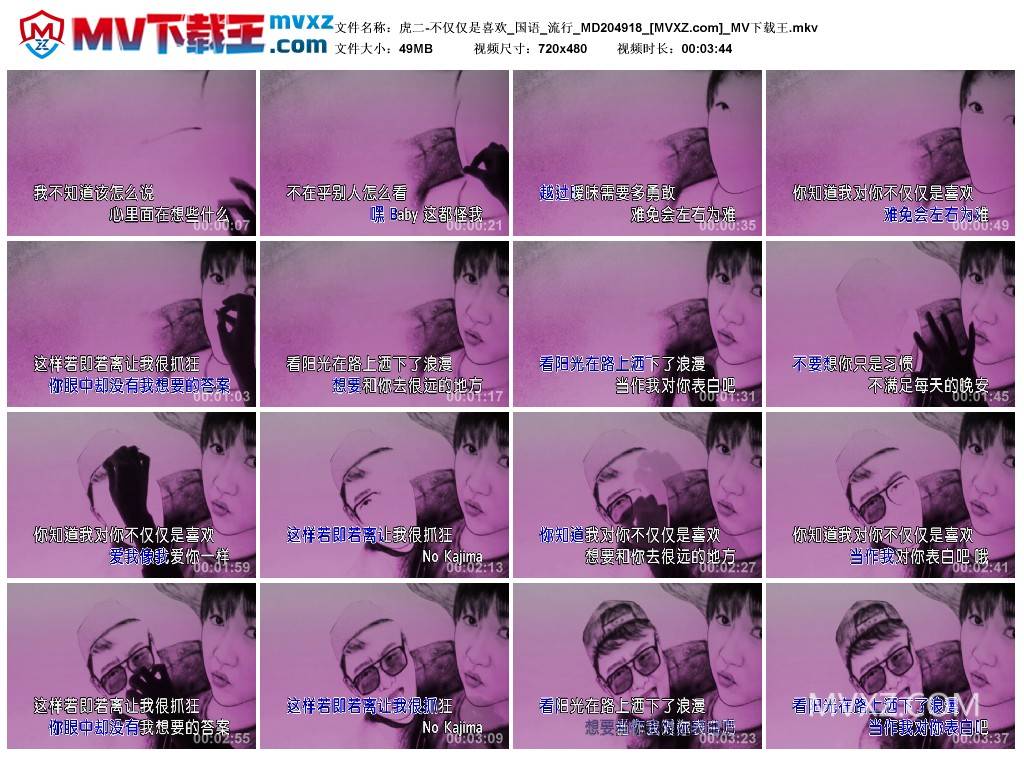 虎二-不仅仅是喜欢_国语_流行_MD204918